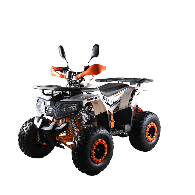 Quad 4 roues 110cc CE EPA pour - Outdoor Adventure Quad Biking avis et prix