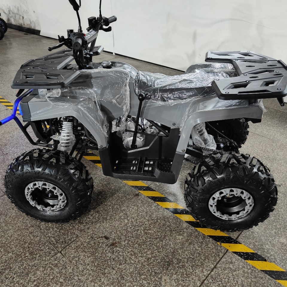 Quad tout-terrain 125cc, Buggy - Outdoor Adventure Quad Biking avis et prix