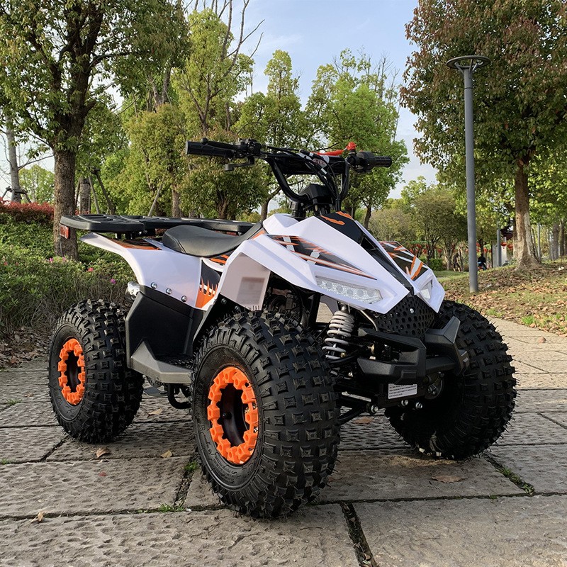 Quad 125CC, petit véhicule tou - Outdoor Adventure Quad Biking avis et prix