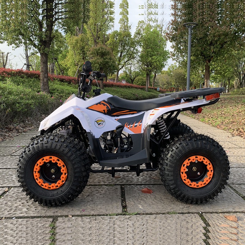 Quad 125CC, petit véhicule tou - Outdoor Adventure Quad Biking avis et prix