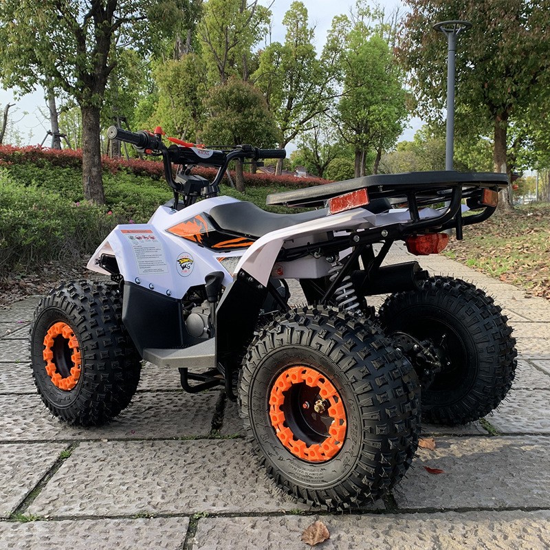 Quad 125CC, petit véhicule tou - Outdoor Adventure Quad Biking avis et prix