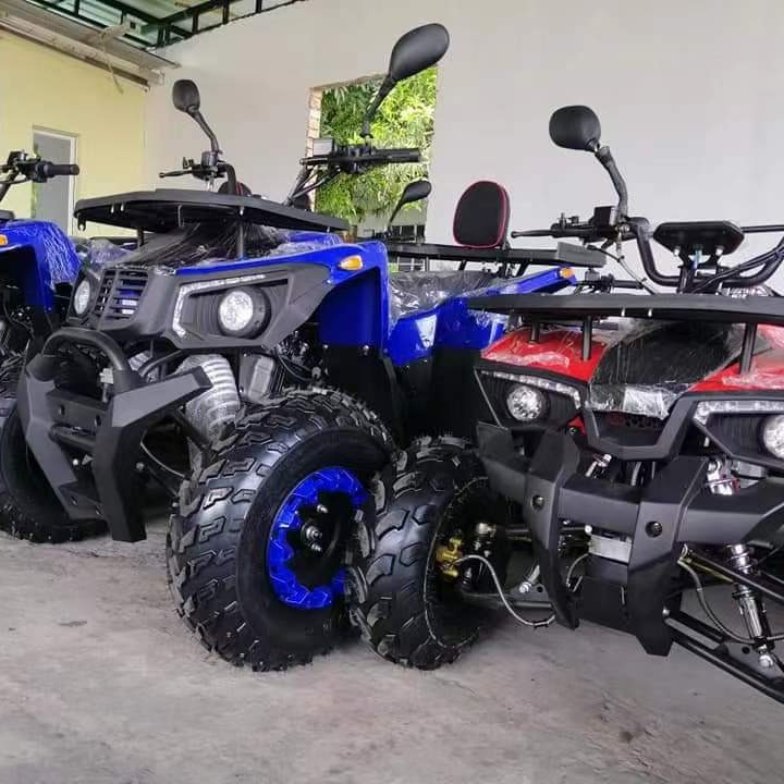Buggy tout-terrain 200CC GY6,  - Outdoor Adventure Quad Biking avis et prix